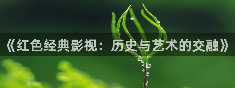 黑螞蟻影院免費(fèi)影視大全